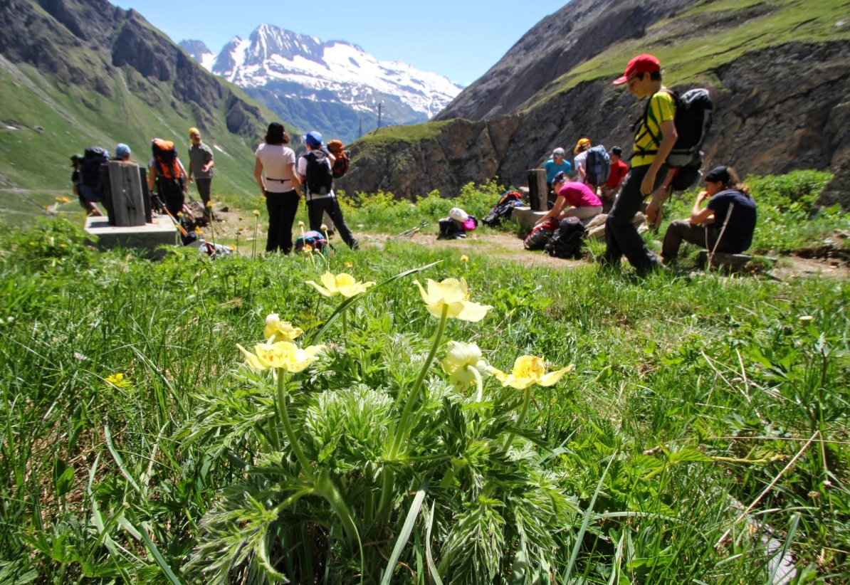 Alpinismo Giovanile